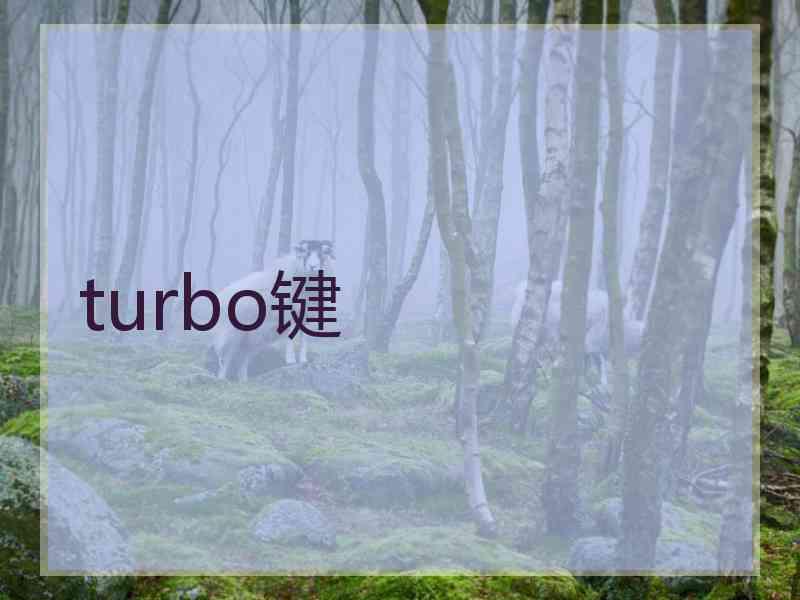 turbo键