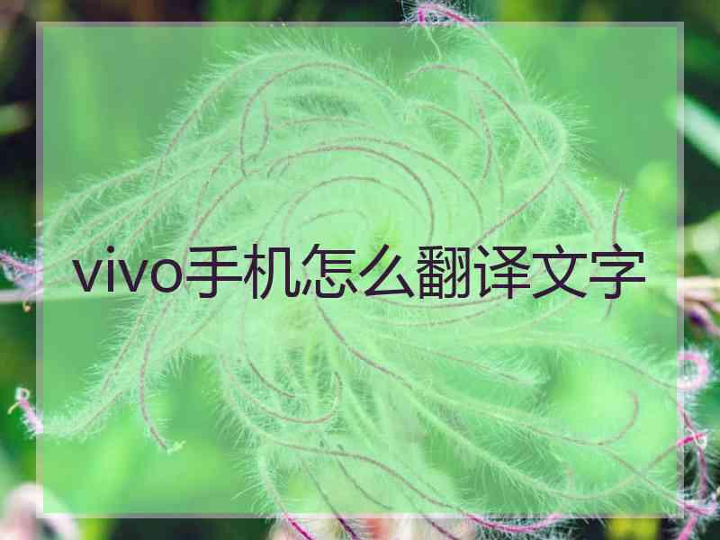 vivo手机怎么翻译文字