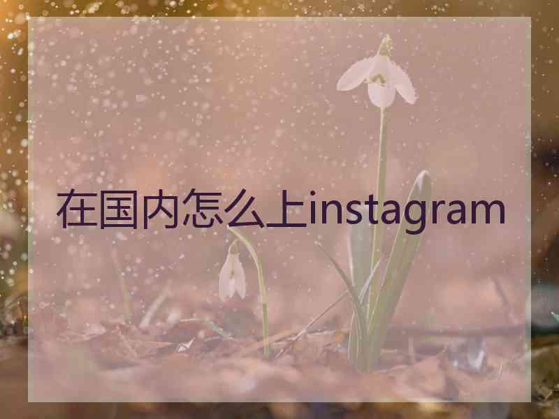 在国内怎么上instagram