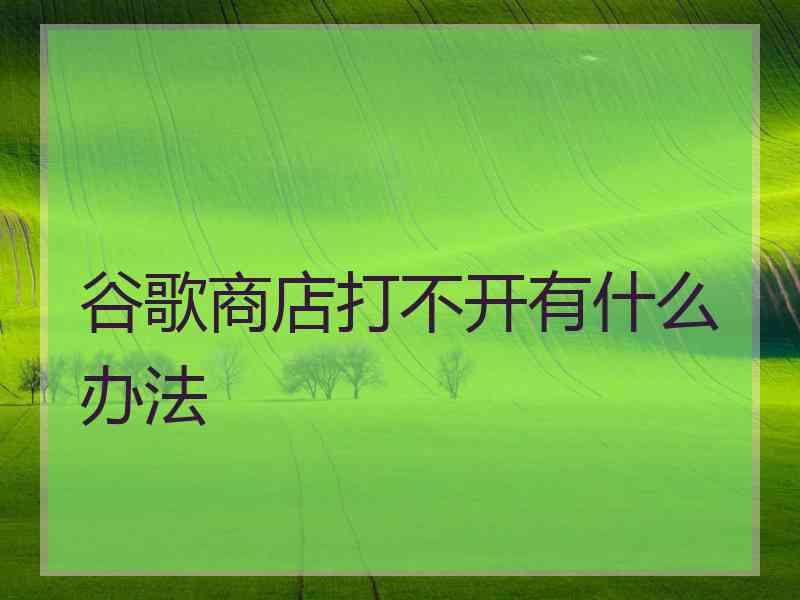 谷歌商店打不开有什么办法