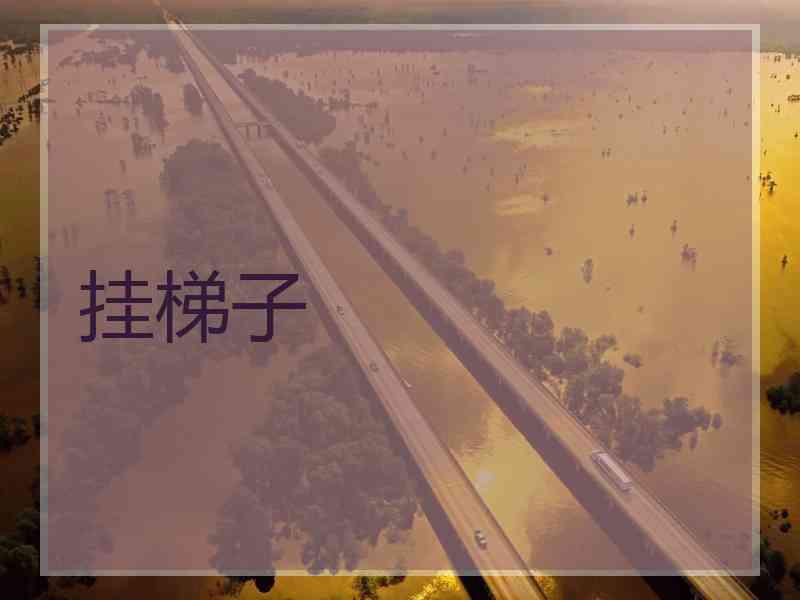 挂梯子