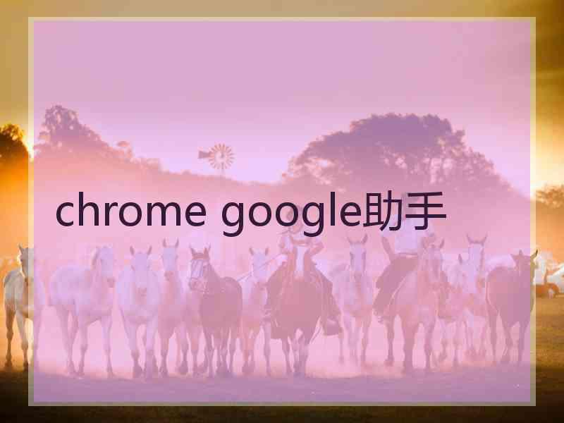 chrome google助手