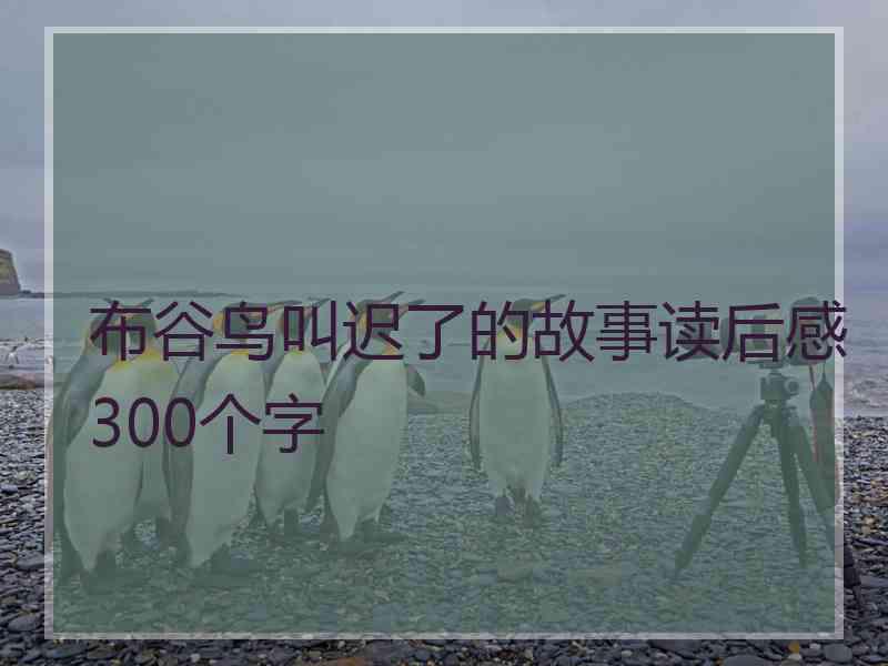 布谷鸟叫迟了的故事读后感300个字