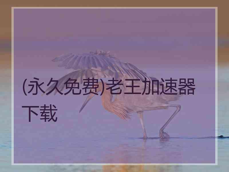 (永久免费)老王加速器下载