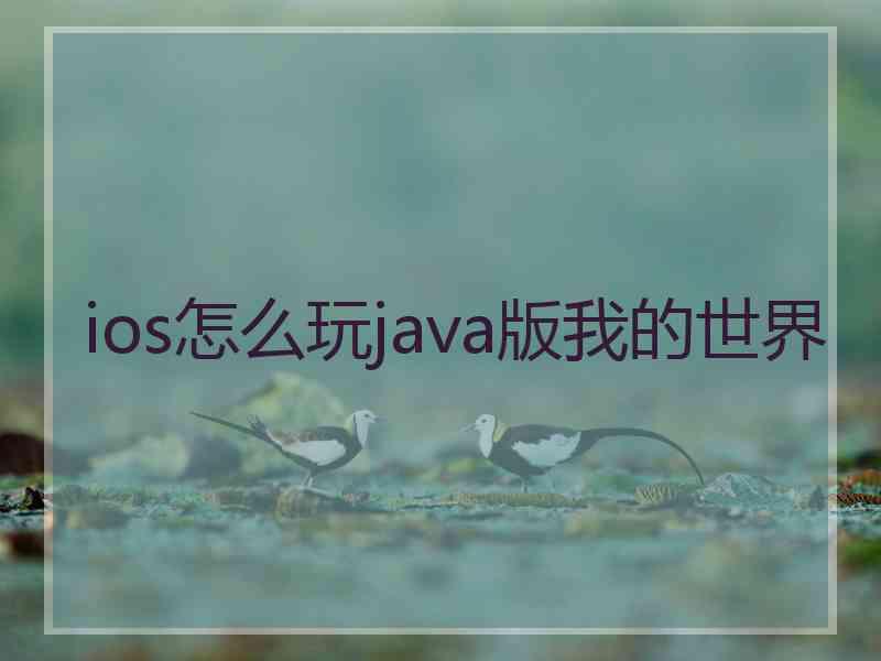 ios怎么玩java版我的世界