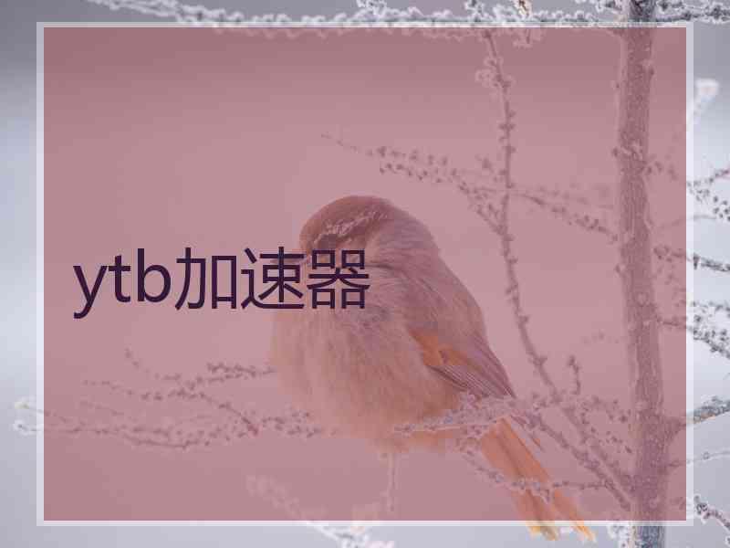 ytb加速器