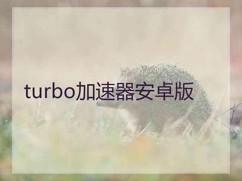 turbo加速器安卓版