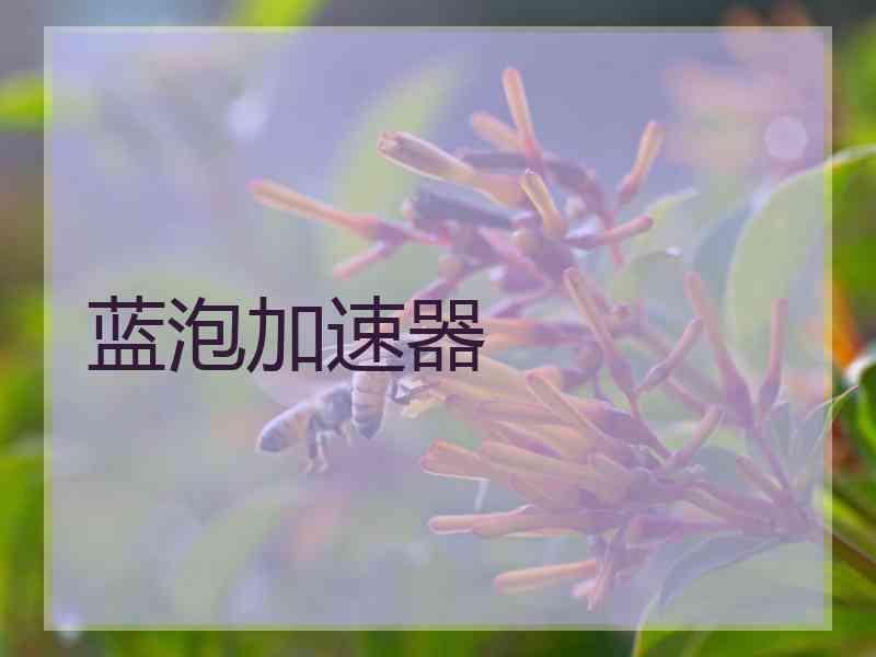 蓝泡加速器