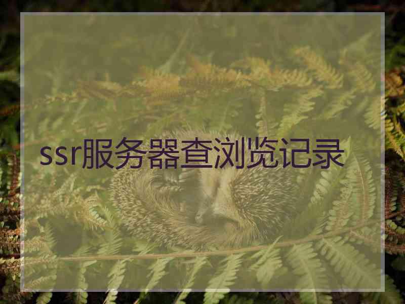 ssr服务器查浏览记录