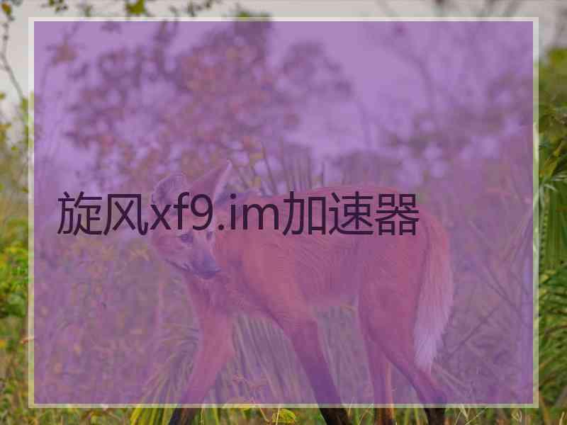 旋风xf9.im加速器