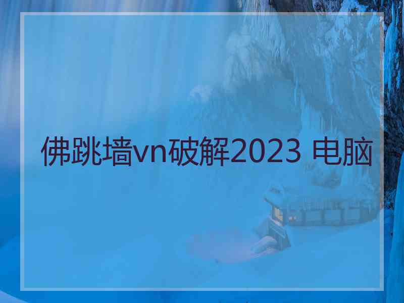 佛跳墙vn破解2023 电脑