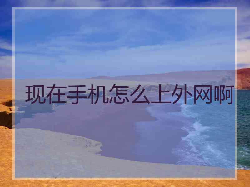 现在手机怎么上外网啊