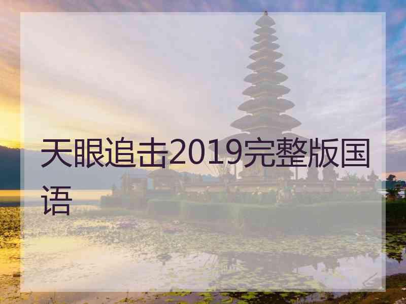 天眼追击2019完整版国语