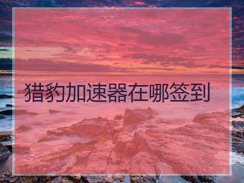 猎豹加速器在哪签到