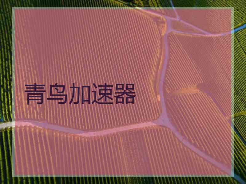 青鸟加速器