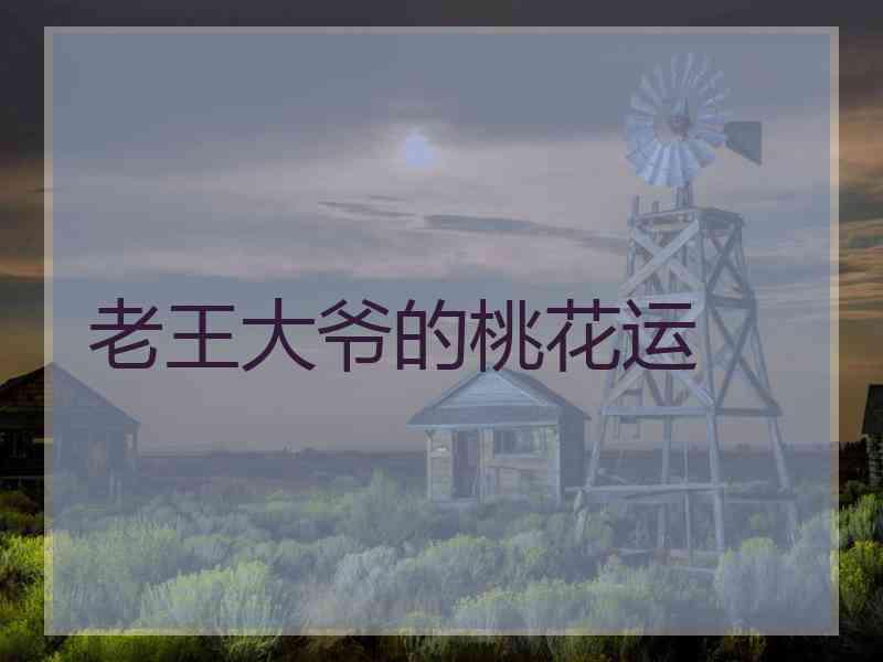 老王大爷的桃花运