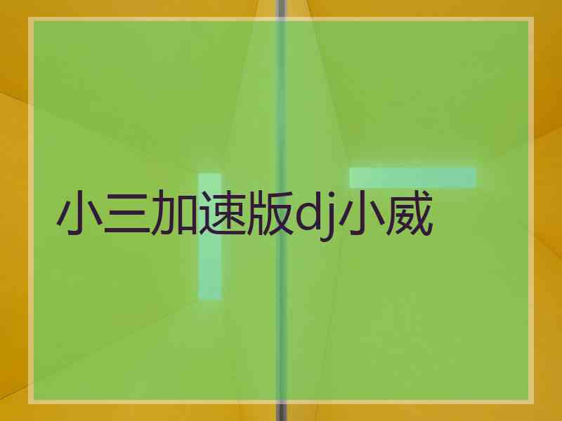 小三加速版dj小威