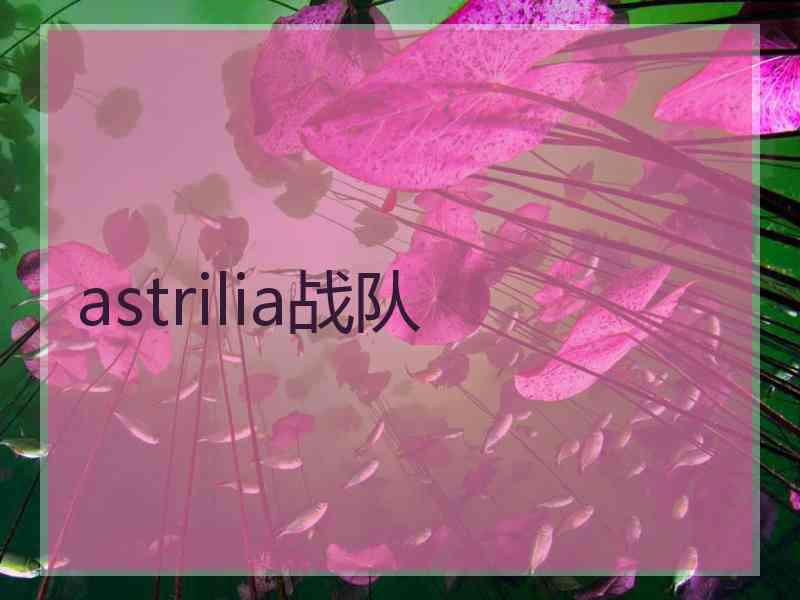 astrilia战队