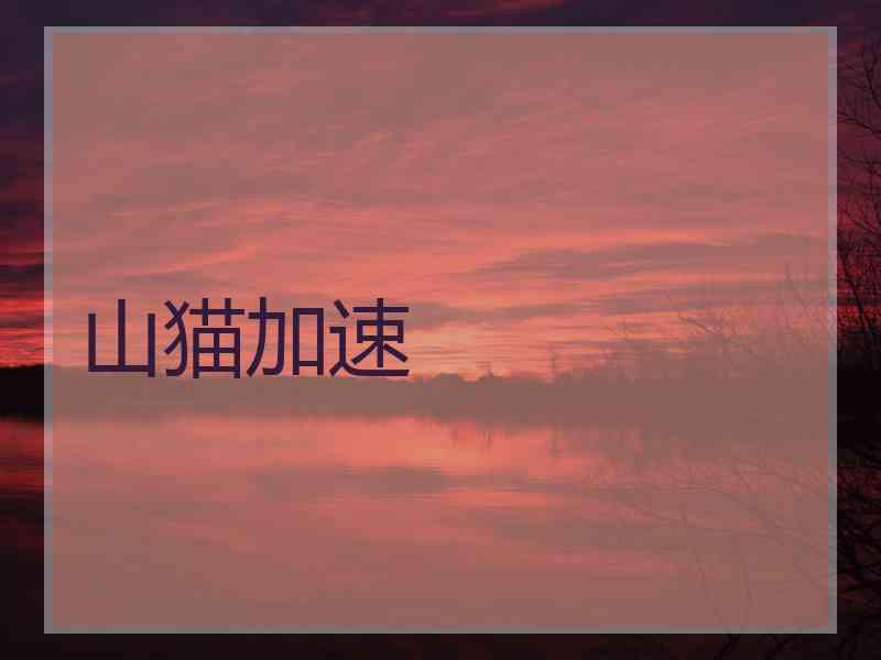 山猫加速