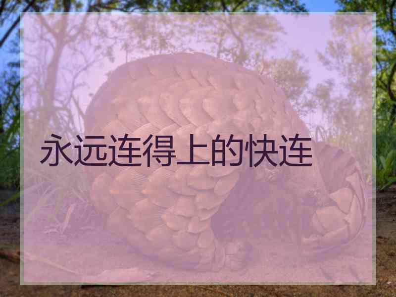 永远连得上的快连