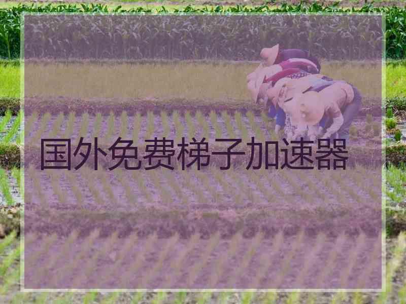 国外免费梯子加速器