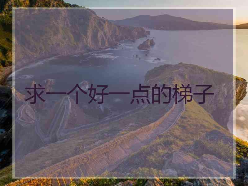 求一个好一点的梯子
