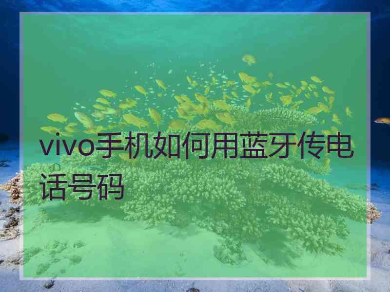 vivo手机如何用蓝牙传电话号码