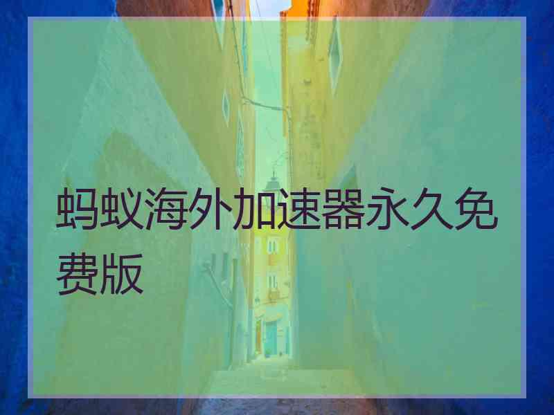 蚂蚁海外加速器永久免费版