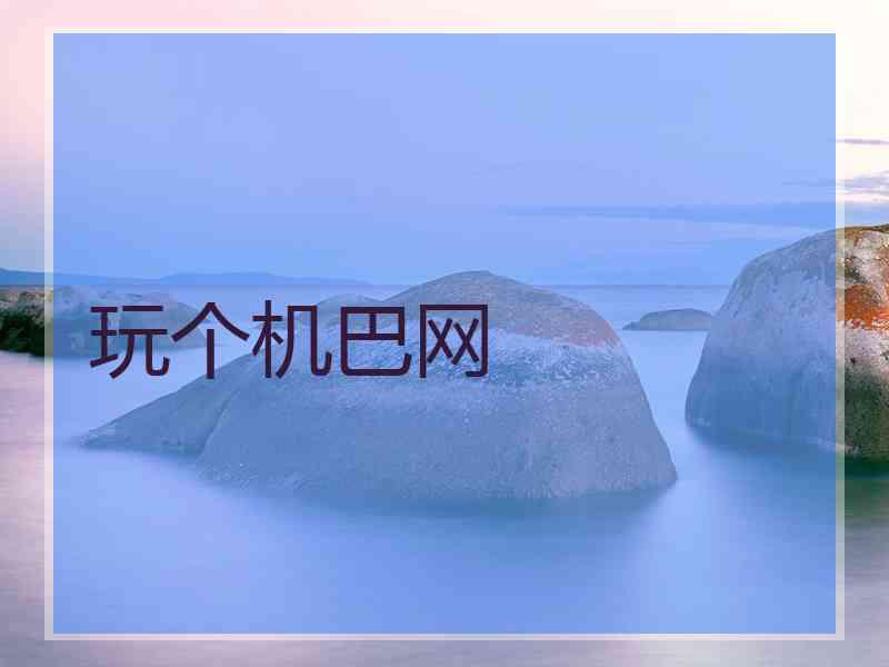 玩个机巴网