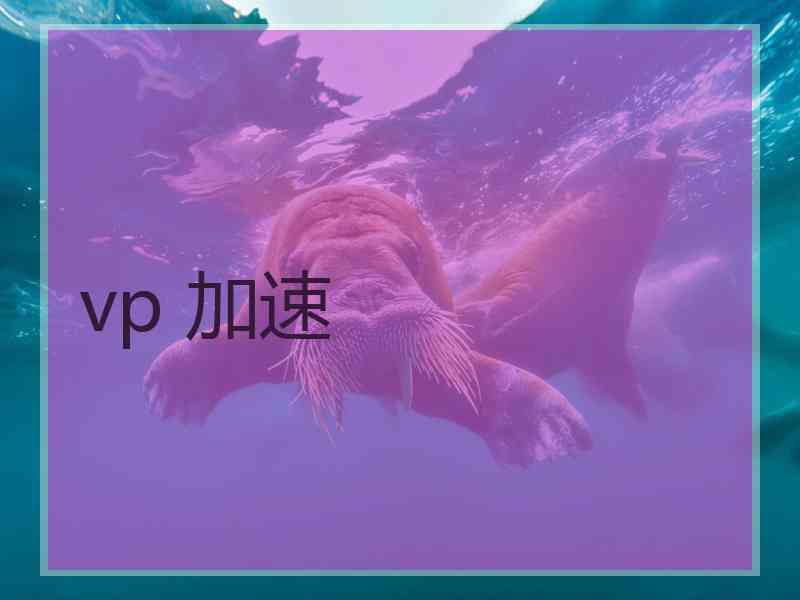 vp 加速