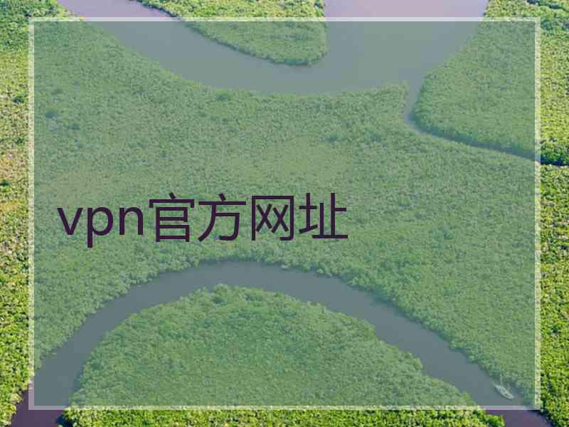 vpn官方网址