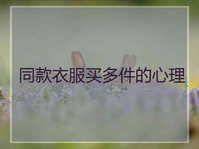 同款衣服买多件的心理