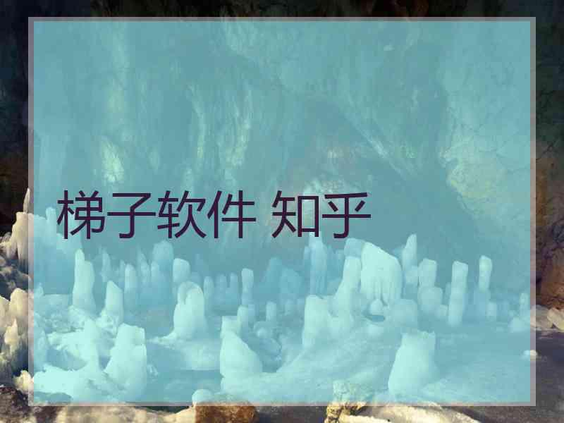 梯子软件 知乎