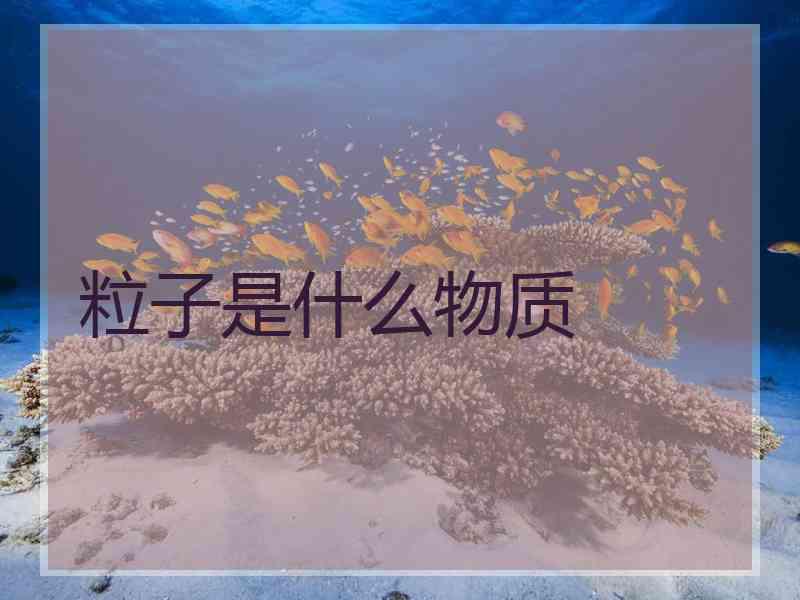 粒子是什么物质