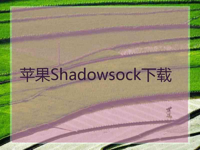 苹果Shadowsock下载