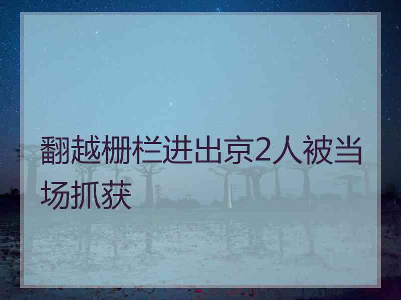 翻越栅栏进出京2人被当场抓获