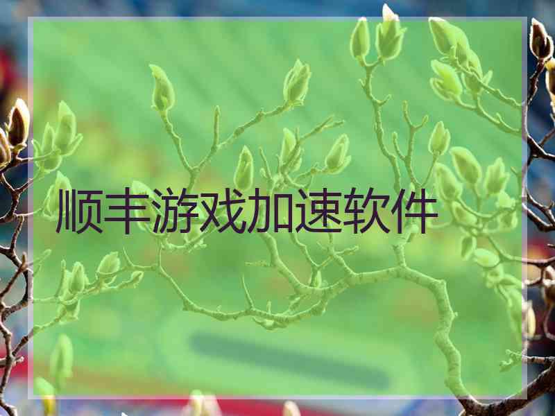 顺丰游戏加速软件