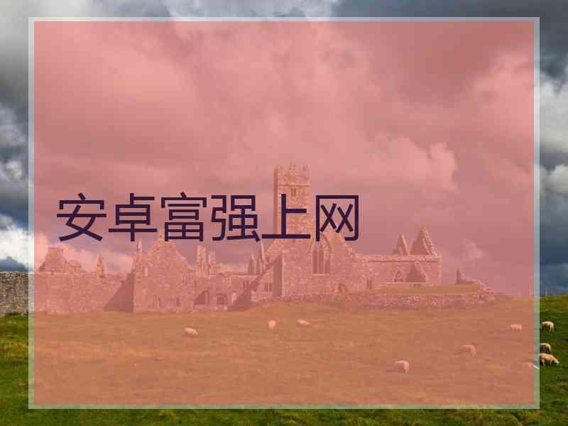 安卓富强上网