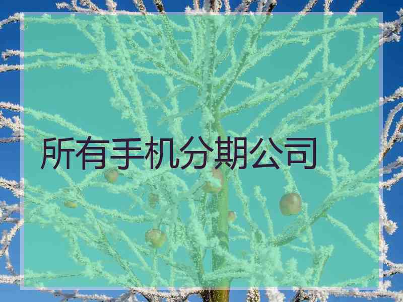 所有手机分期公司