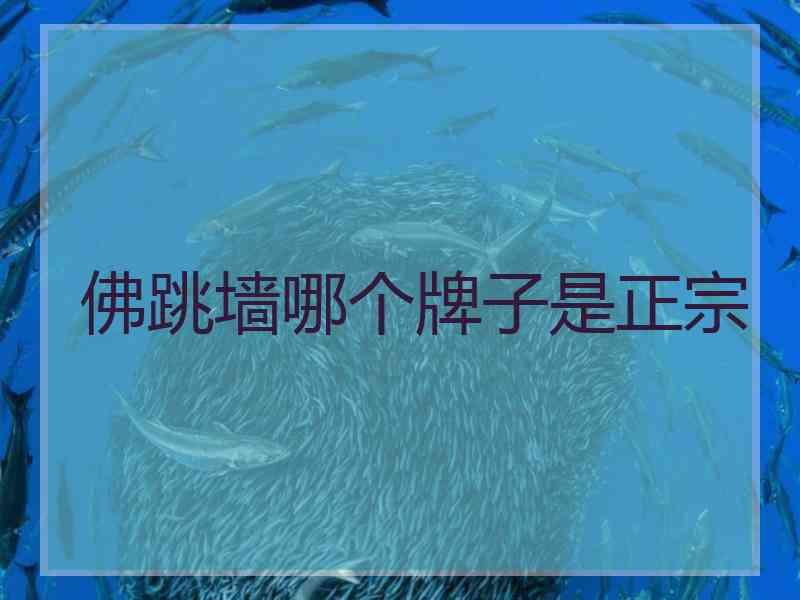 佛跳墙哪个牌子是正宗