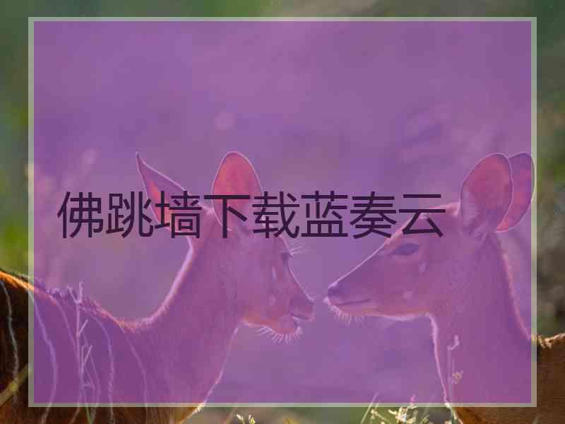 佛跳墙下载蓝奏云