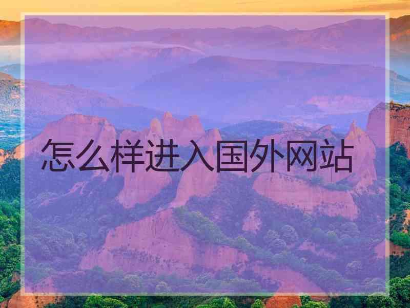 怎么样进入国外网站