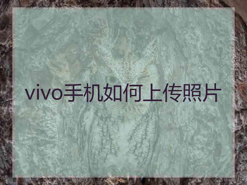 vivo手机如何上传照片