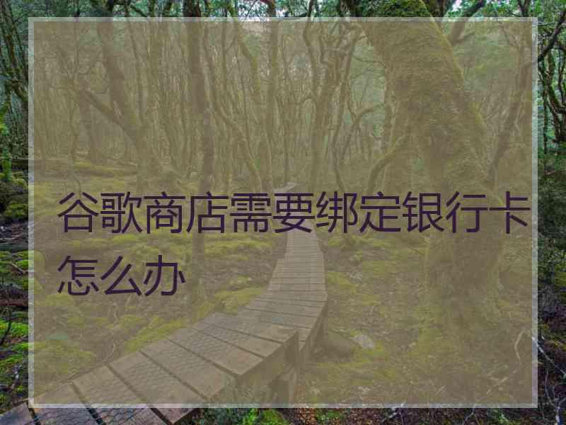 谷歌商店需要绑定银行卡怎么办