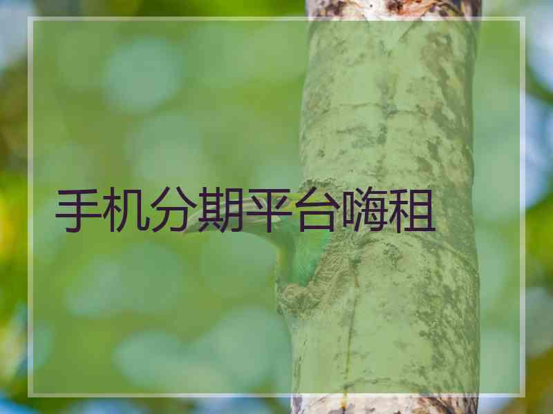 手机分期平台嗨租