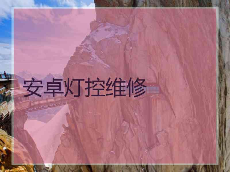 安卓灯控维修