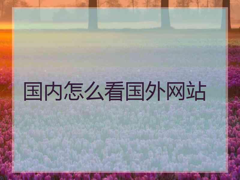 国内怎么看国外网站