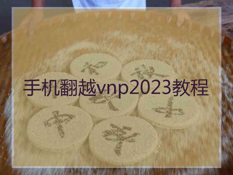 手机翻越vnp2023教程