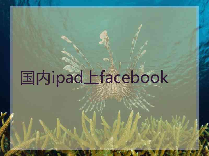 国内ipad上facebook