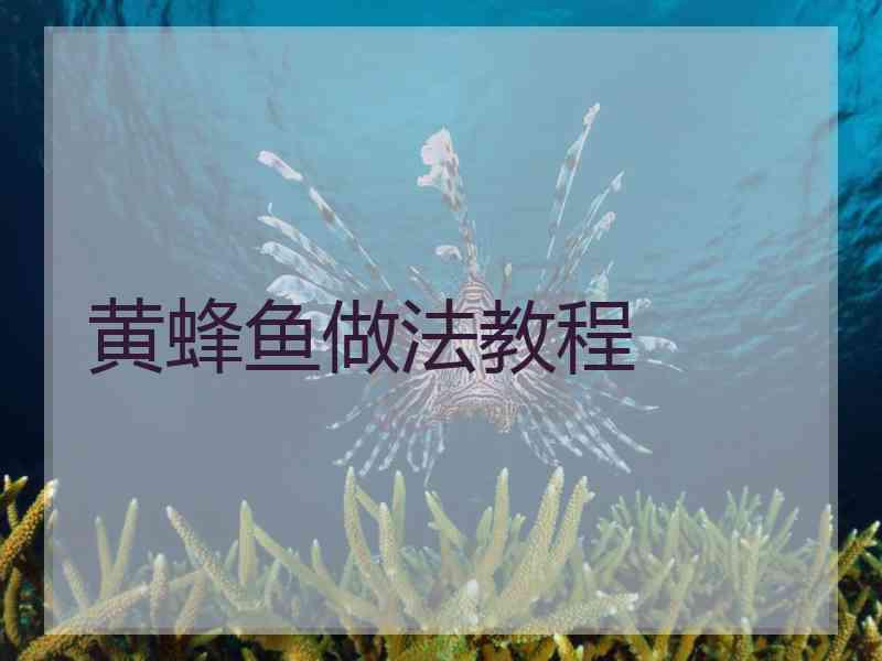 黄蜂鱼做法教程